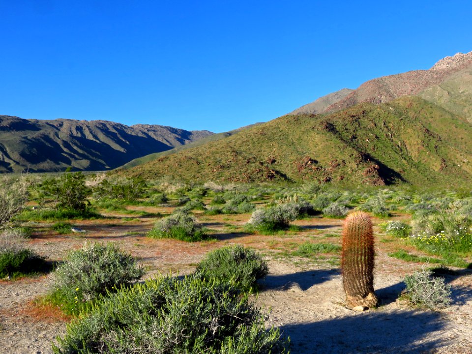 Anza-Borrego Desert SP in California