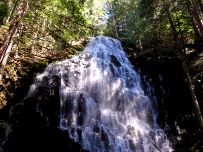 Ramona Falls Hike at Mt. Hood Wilderness in Oregon photo