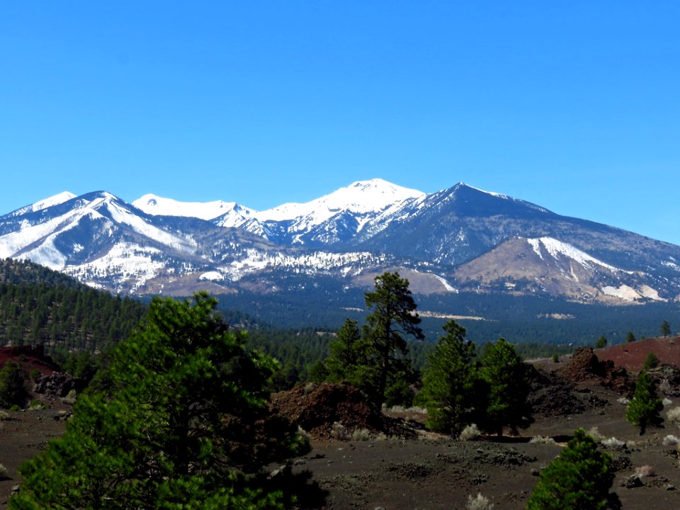 Sunset Crater Volcano NM in AZ