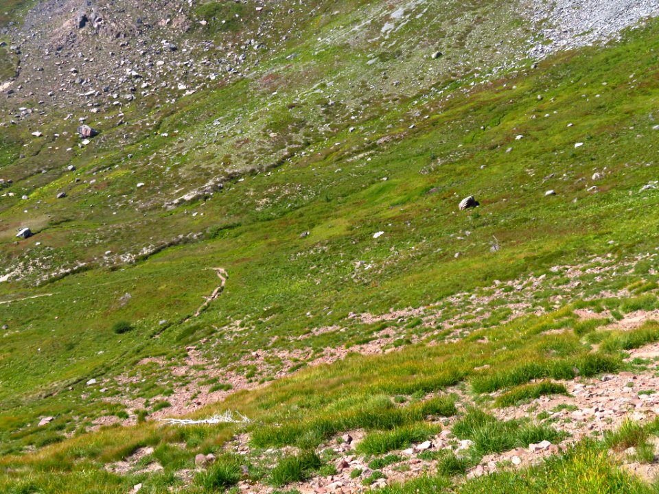 Goat Rocks Wilderness in WA
