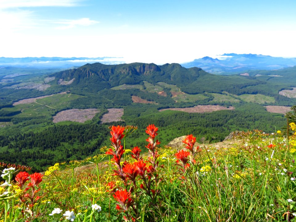 Saddle Mountain Trail in OR