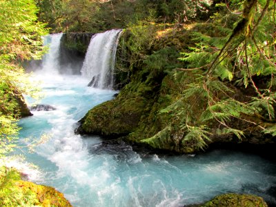 Spirit Falls Trail on Little White Salmon River in WA photo