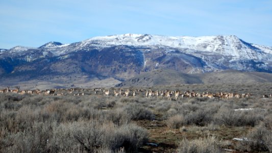 Barrel Springs Byway photo