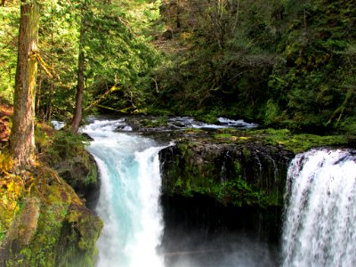 Spirit Falls Trail on Little White Salmon River in WA photo