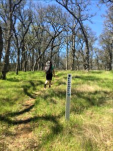 Sacramento River Bend, Yana Trail