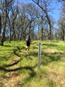 Sacramento River Bend, Yana Trail photo