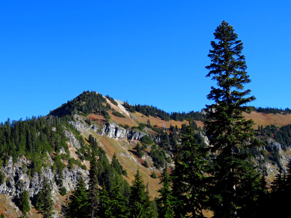 Tatoosh Ridge in WA
