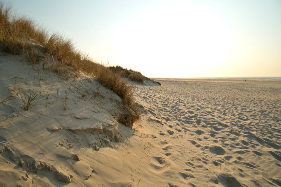 Terschelling Holland Creative Commons by gnuckx