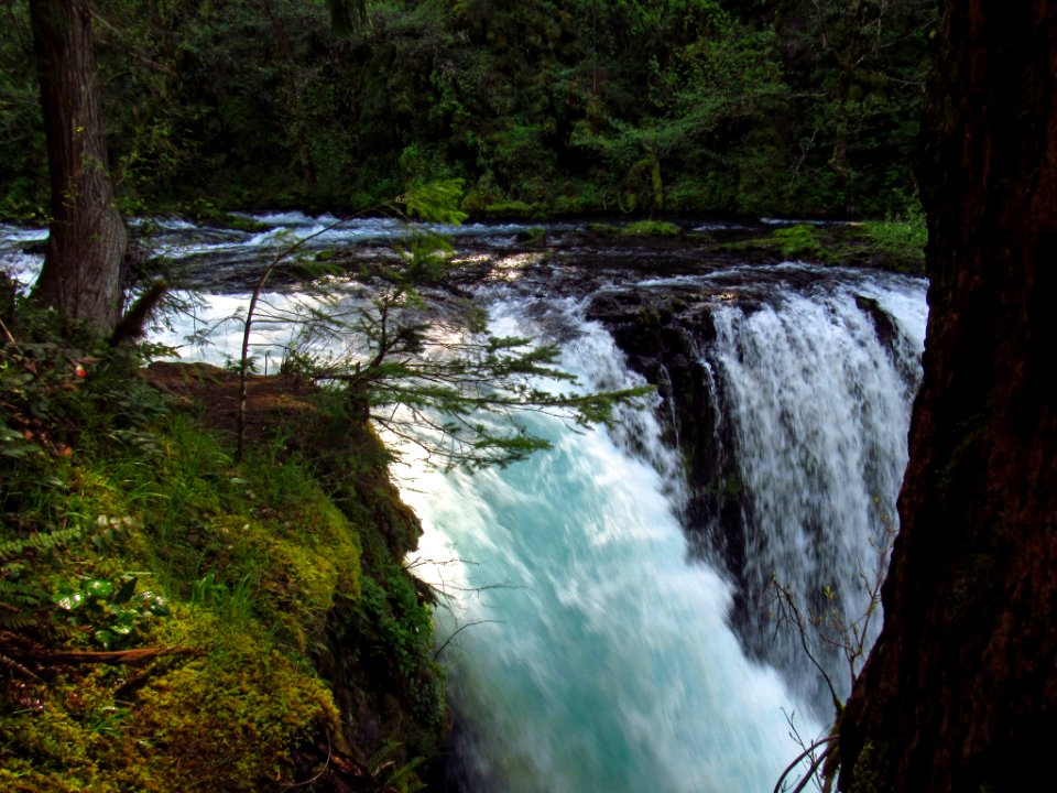 Spirit Falls Trail on Little White Salmon River in WA