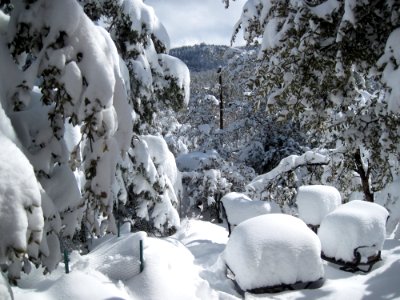 Snow Snow Snow