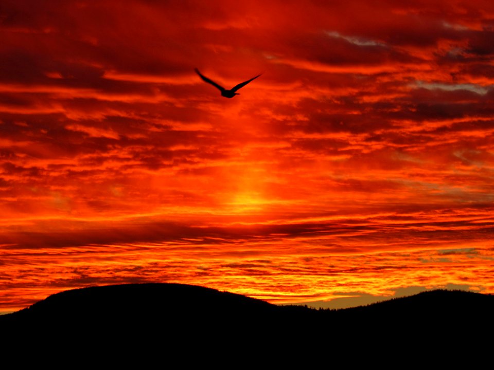 Sunrise at Mt. St. Helens NM in WA
