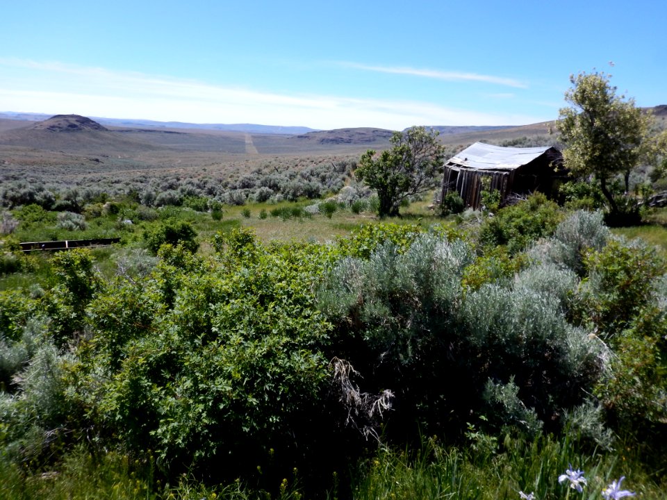Cherry Springs in Applegate Field Office