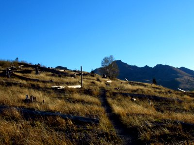 Coldwater Lake Loop Trail in WA