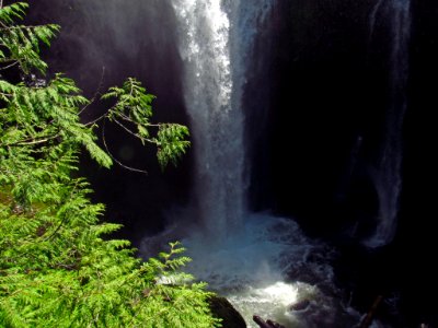 Falls Creek Falls Trail in WA