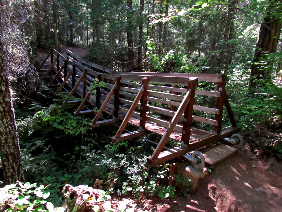 Suspension Bridge at Falls Creek Falls Trail at Gifford Pinchot NF in WA