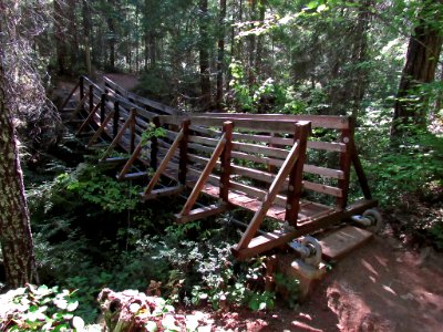 Suspension Bridge at Falls Creek Falls Trail at Gifford Pinchot NF in WA