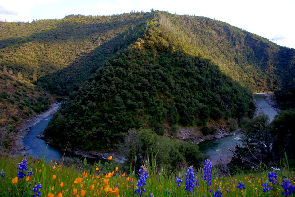 North Fork of the American River