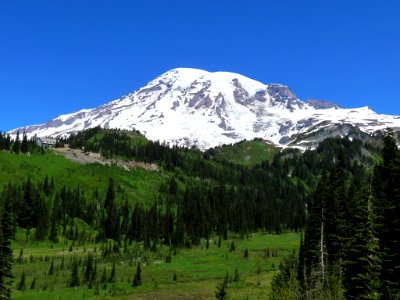 Mt. Rainier NP in Washington photo