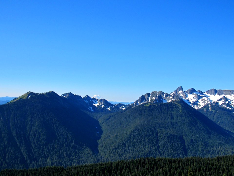 Mt. Rainier NP in Washington