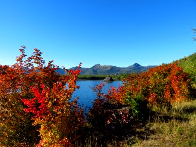 Coldwater Lake Trail in WA photo