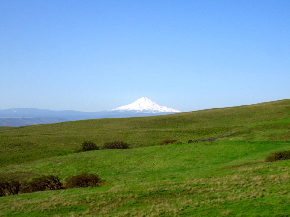 Mt. Hood at Dalles Mt. Ranch in WA