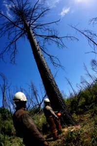 BLM Folsom Lake Veterans' Crew in the Mother Lode Field Office