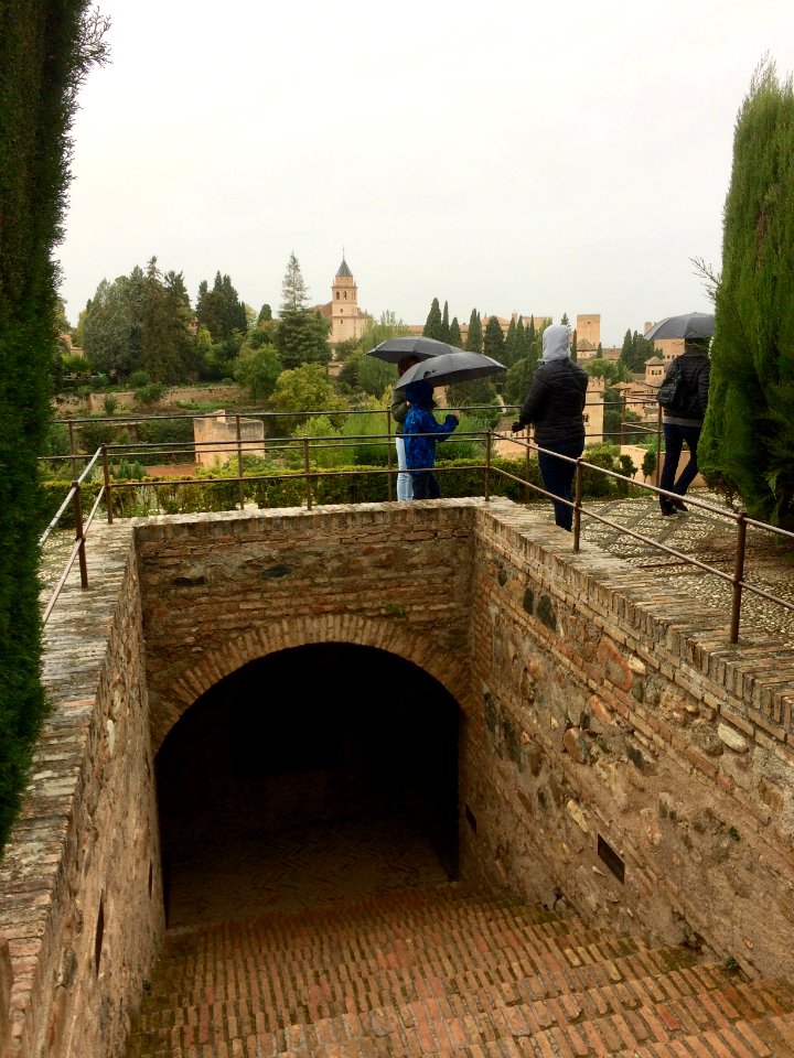 The Alhambra, Granada