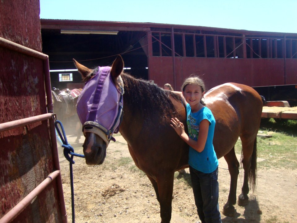 Adopted Horse Camp in the Ukiah Field Office