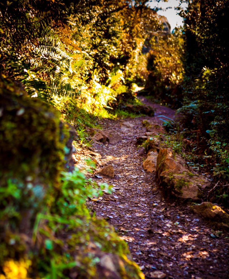 Trinidad Head Trail to Lighthouse