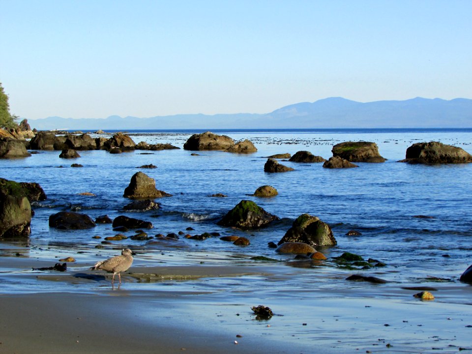Neah Bay at Pacific Coast in WA