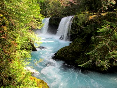 Spirit Falls Trail on Little White Salmon River in WA
