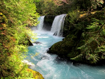 Spirit Falls Trail on Little White Salmon River in WA photo