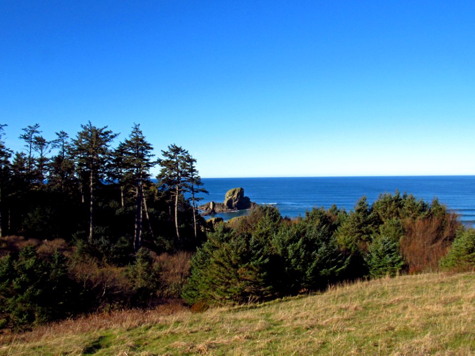 Ecola State Park at Pacific Coast in OR