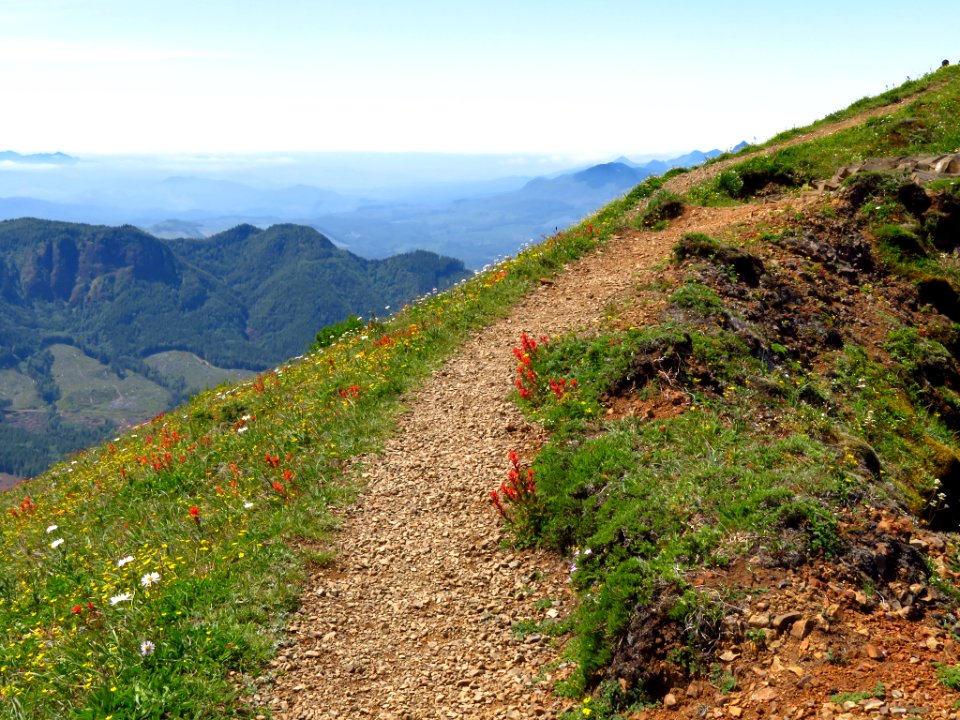 Saddle Mountain Trail in OR