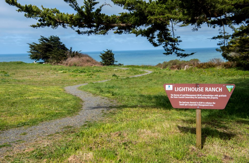 Mike Thompson Wildlife Area, South Spit Humboldt Bay