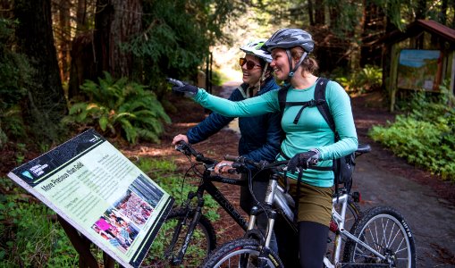 Headwaters Forest Reserve