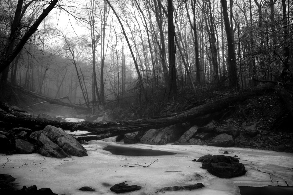 Monochrome study 2
