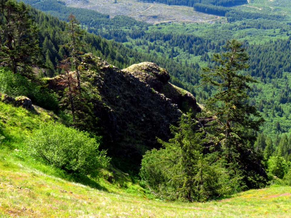 Saddle Mountain Trail in OR