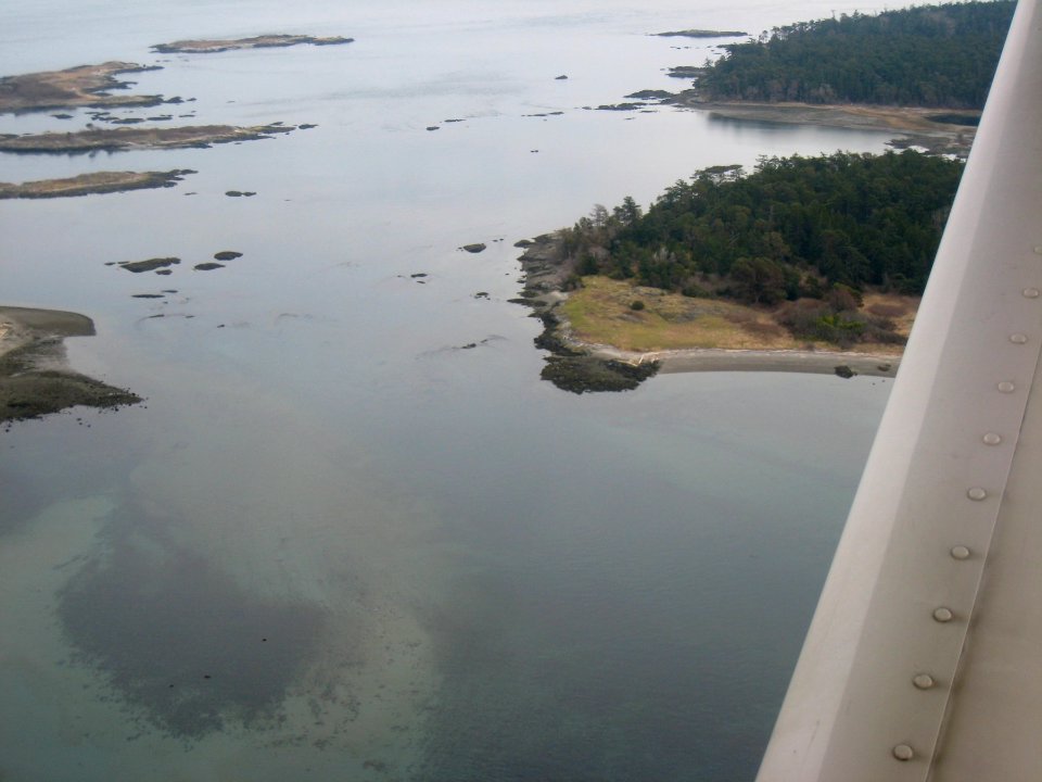 Seaplane Commute from Victoria to Vancouver