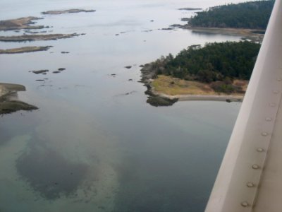 Seaplane Commute from Victoria to Vancouver