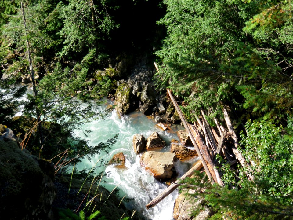 Nooksack River at Mt. Baker-Snoqualmie NF in WA