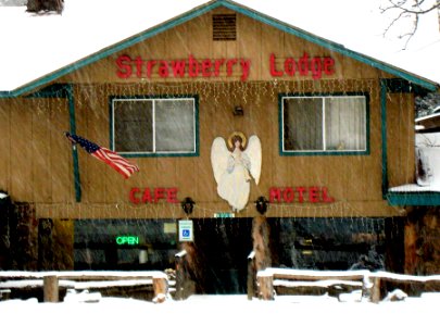The Lodge