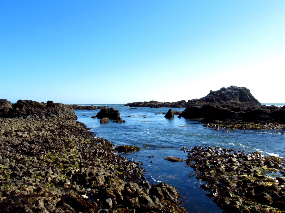 Yaquina Head Natural Area in OR