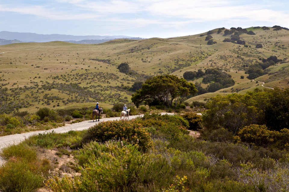 Horseback Riding at Fort Ord
