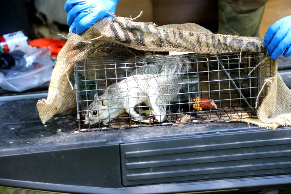 20200922-USDA-APHIS-WS-009