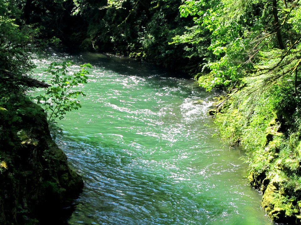 Moulton Falls Park at Lewis River in WA