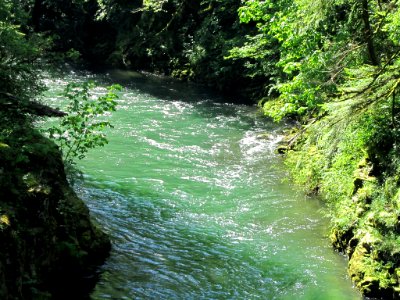 Moulton Falls Park at Lewis River in WA