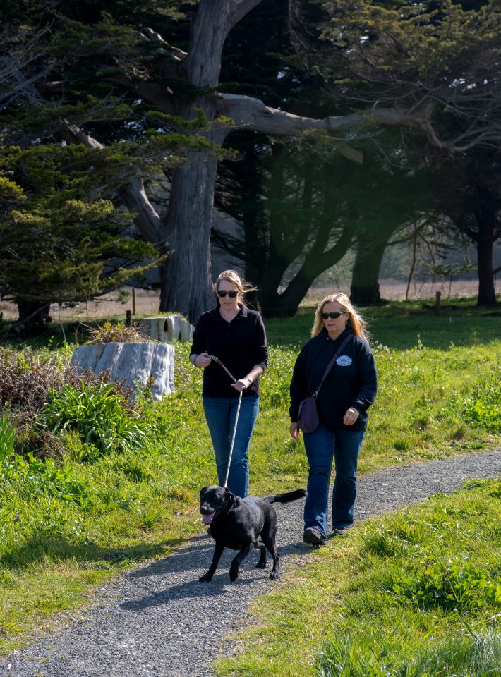 Mike Thompson Wildlife Area, South Spit Humboldt Bay