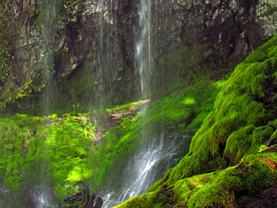 Panther Creek Falls Trail in WA