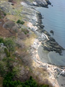 Seaplane Commute from Victoria to Vancouver photo